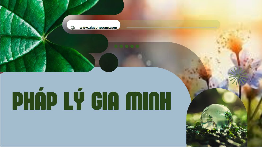Thành lập hộ kinh doanh cá thể cần giấy phép gì?